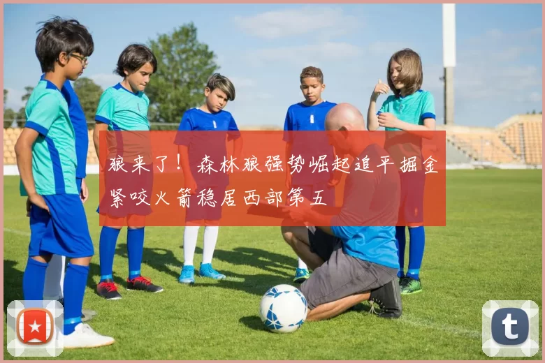 狼来了！森林狼强势崛起追平掘金紧咬火箭稳居西部第五