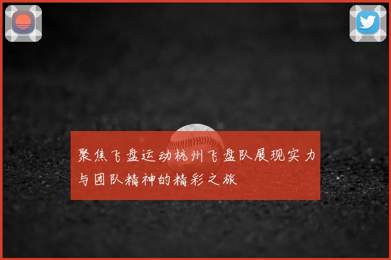 聚焦飞盘运动杭州飞盘队展现实力与团队精神的精彩之旅