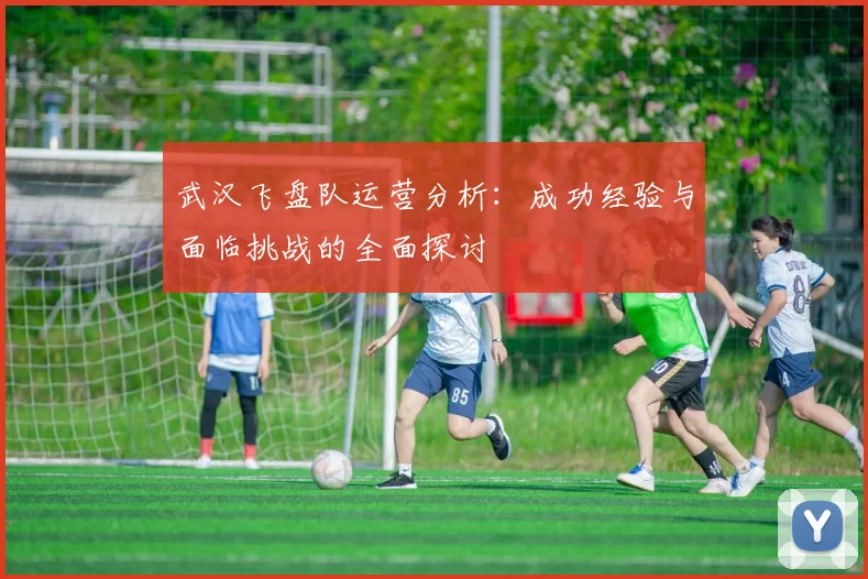 武汉飞盘队运营分析：成功经验与面临挑战的全面探讨