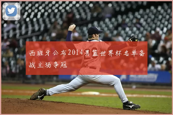 西班牙公布2014男篮世界杯名单备战主场争冠
