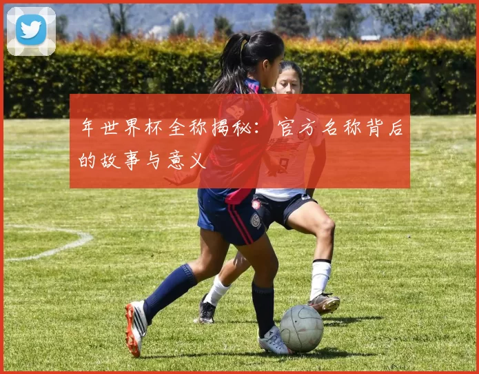 年世界杯全称揭秘：官方名称背后的故事与意义