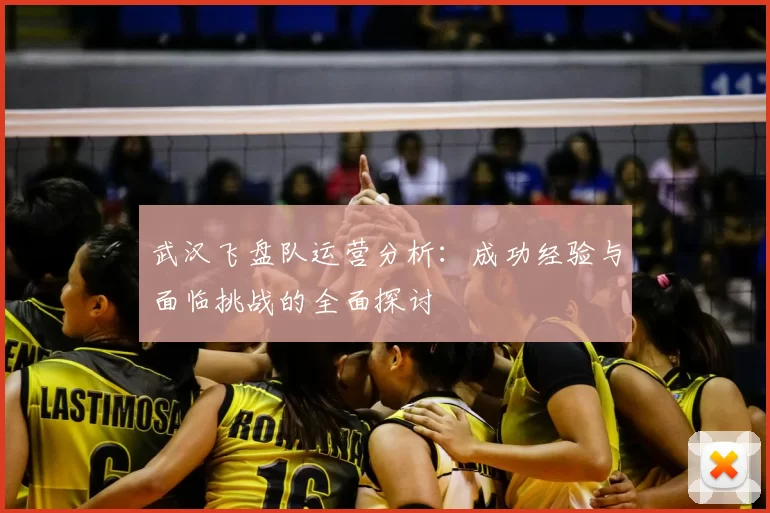 武汉飞盘队运营分析：成功经验与面临挑战的全面探讨