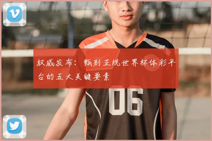 权威发布：甄别正规世界杯体彩平台的五大关键要素