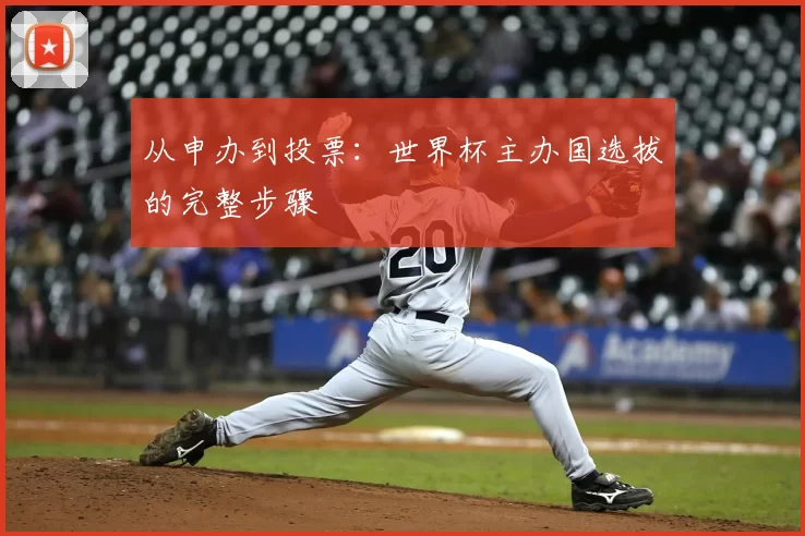 从申办到投票：世界杯主办国选拔的完整步骤