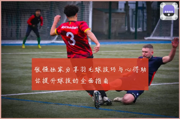 张强独家分享羽毛球技巧与心得助你提升球技的全面指南