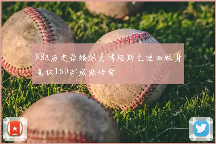 NBA历史最矮球员博格斯生涯回顾身高仅160却成就传奇