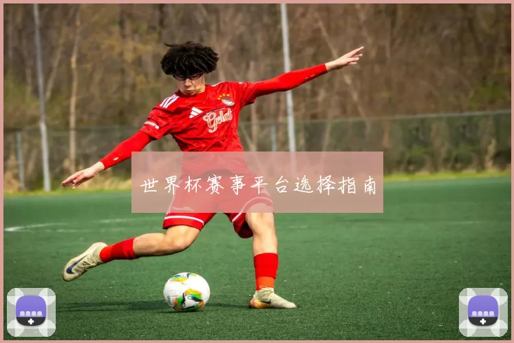 世界杯赛事平台选择指南