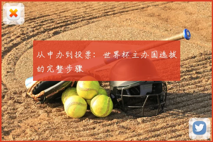 从申办到投票：世界杯主办国选拔的完整步骤