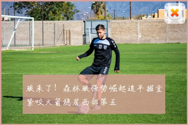 狼来了！森林狼强势崛起追平掘金紧咬火箭稳居西部第五
