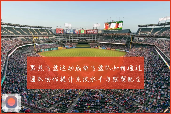 聚焦飞盘运动成都飞盘队如何通过团队协作提升竞技水平与默契配合