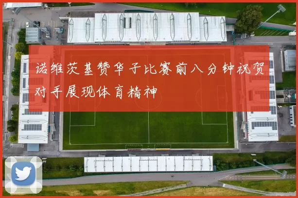 诺维茨基赞华子比赛前八分钟祝贺对手展现体育精神