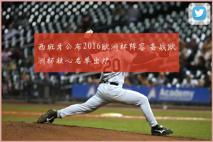 西班牙公布2016欧洲杯阵容 备战欧洲杯核心名单出炉