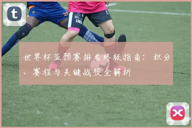 世界杯亚预赛排名终极指南：积分、赛程与关键战役全解析